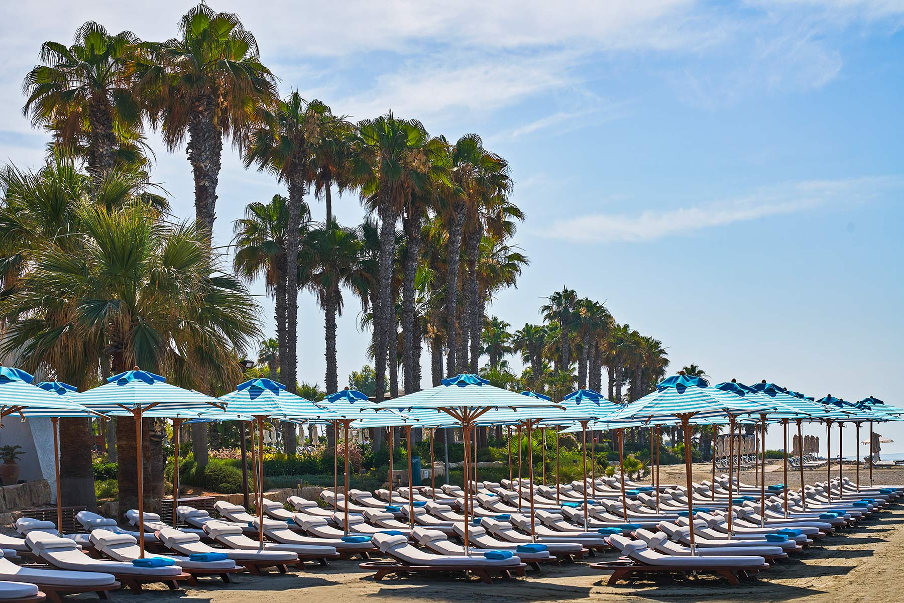 NAMMOS Limassol